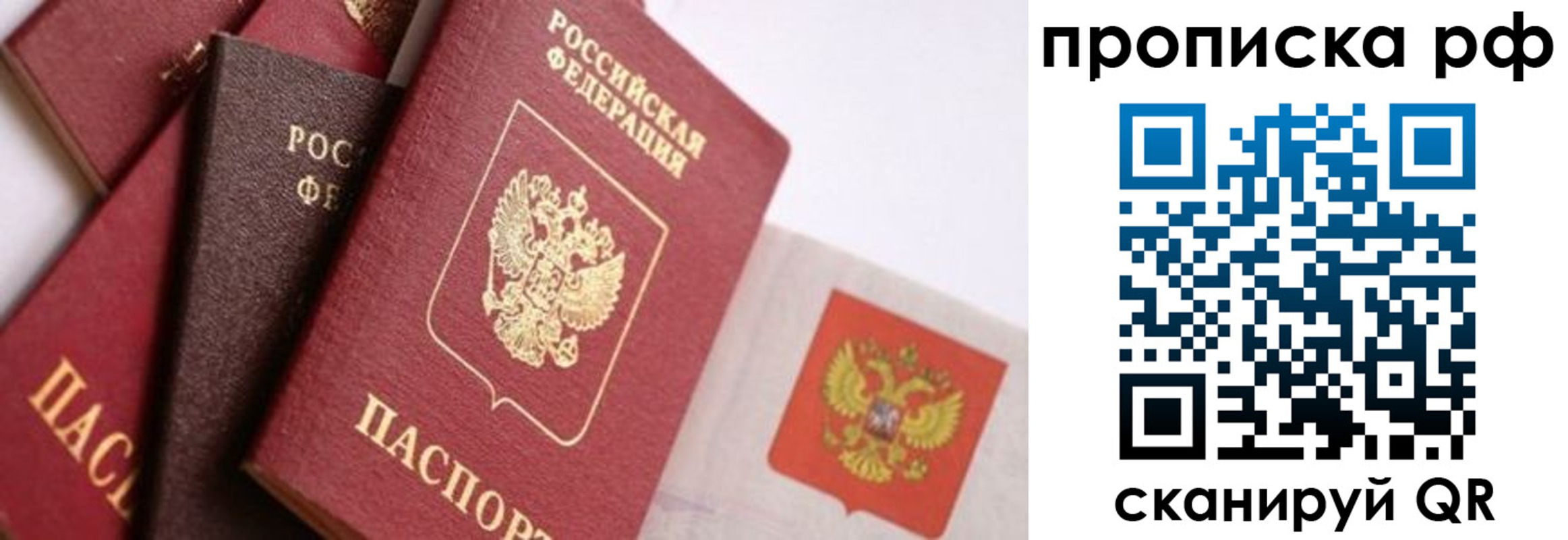 прописка ребенка в Новодвинске